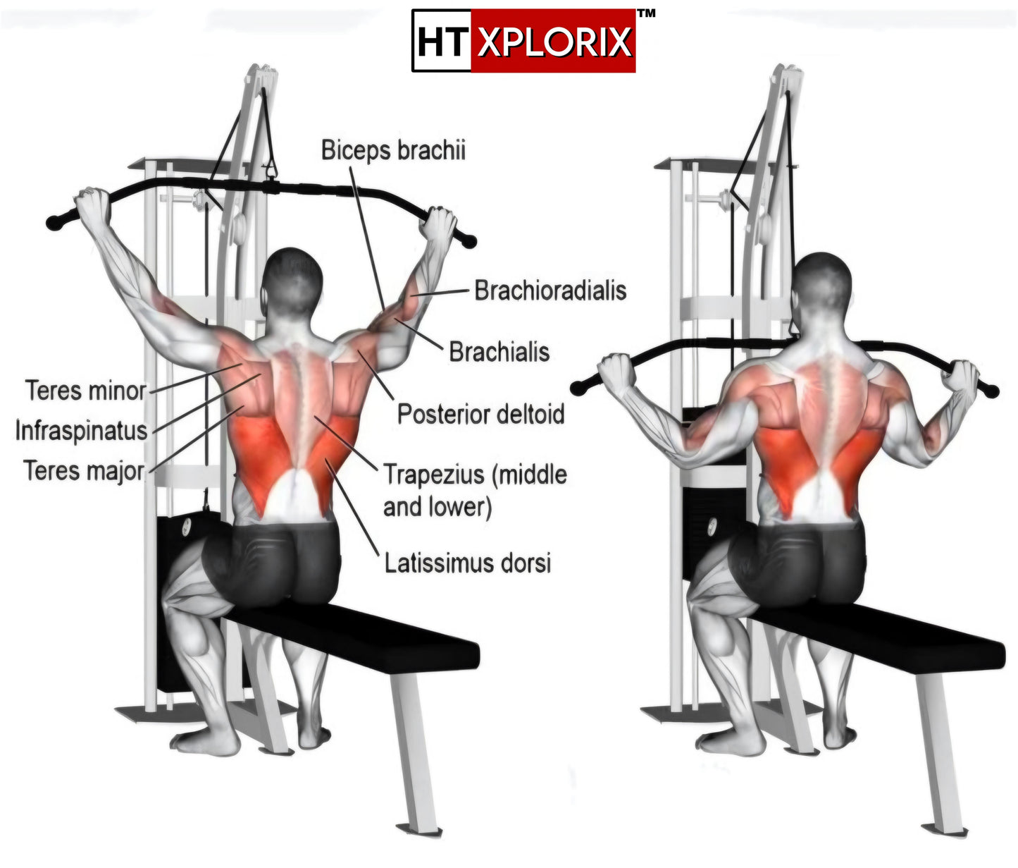 HT XPLORIX™ LAT Pull Down Bar 48-Inch – Straight Bar Cable Attachment for Back & Upper Body Strength Training